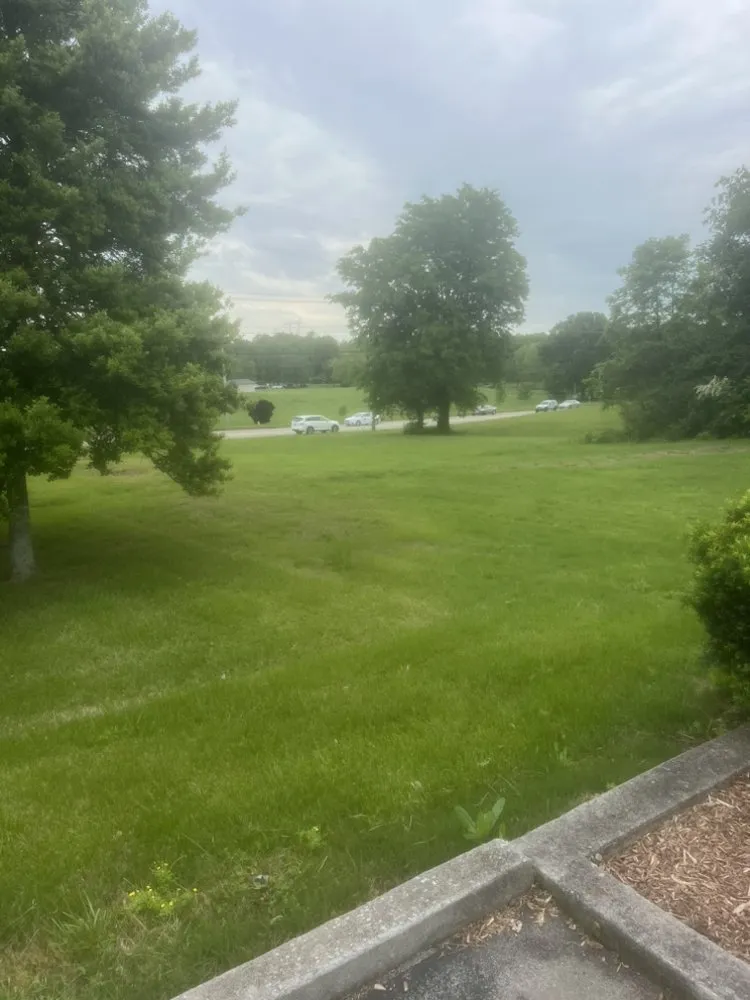 Reliable yard cleanup service for outdoor upgrades in Knoxville, TN by 2 Brothers Tree & Lawn Service