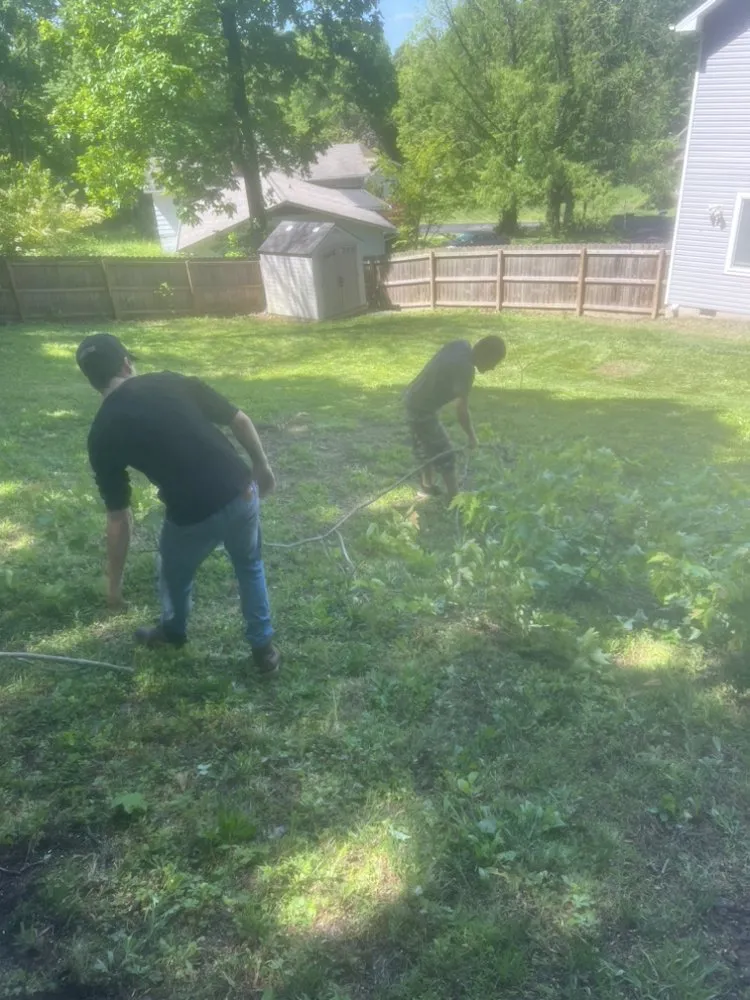 Affordable landscaping services experts serving Knoxville, TN - 2 Brothers Tree & Lawn Service