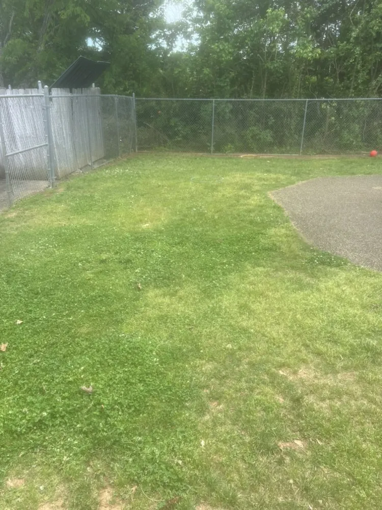 Expert outdoor landscaping in Knoxville, TN by 2 Brothers Tree & Lawn Service