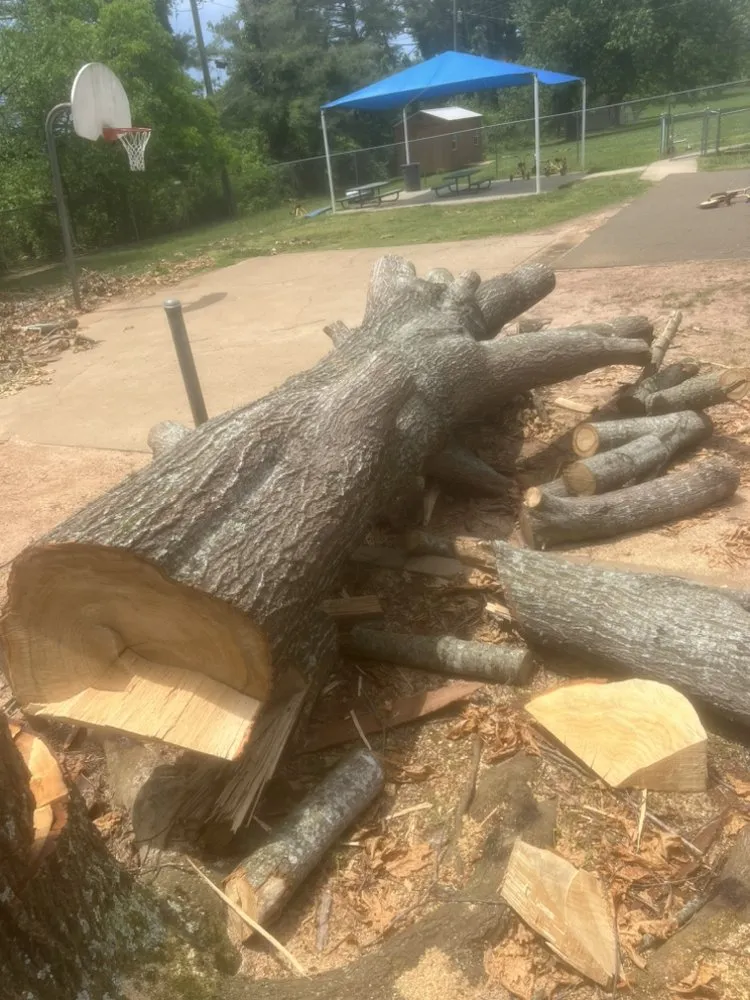 Custom lawn care service for residential properties across Knoxville, TN - 2 Brothers Tree & Lawn Service