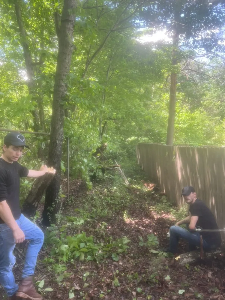 Professional landscaping services in Knoxville, TN - 2 Brothers Tree & Lawn Service