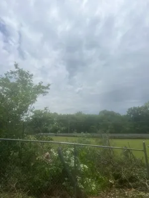 2 Brothers Tree & Lawn Service Logo