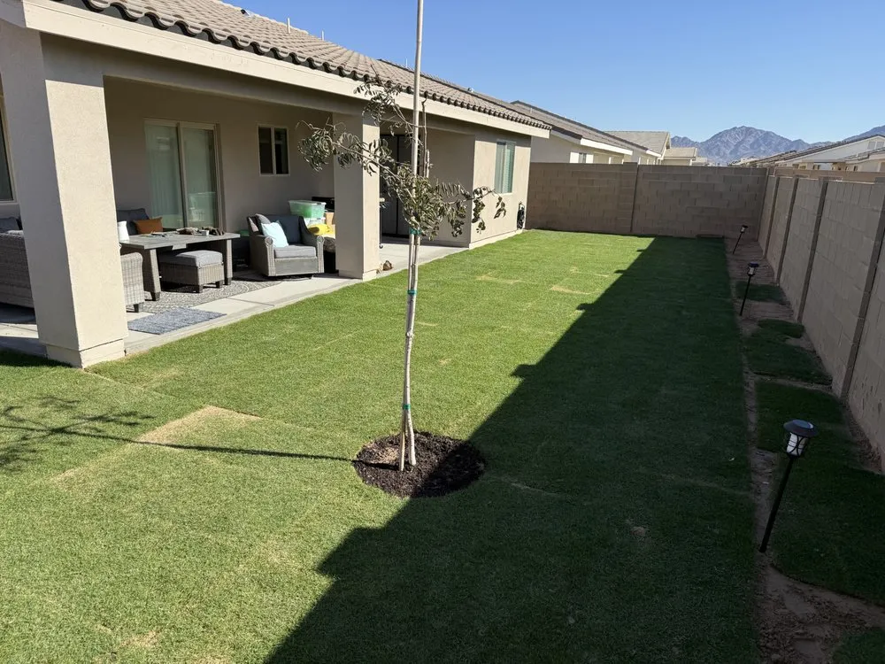 Trusted lawn care service experts serving Fortuna Foothills, AZ - 2 Brothers Yuma Landscaping