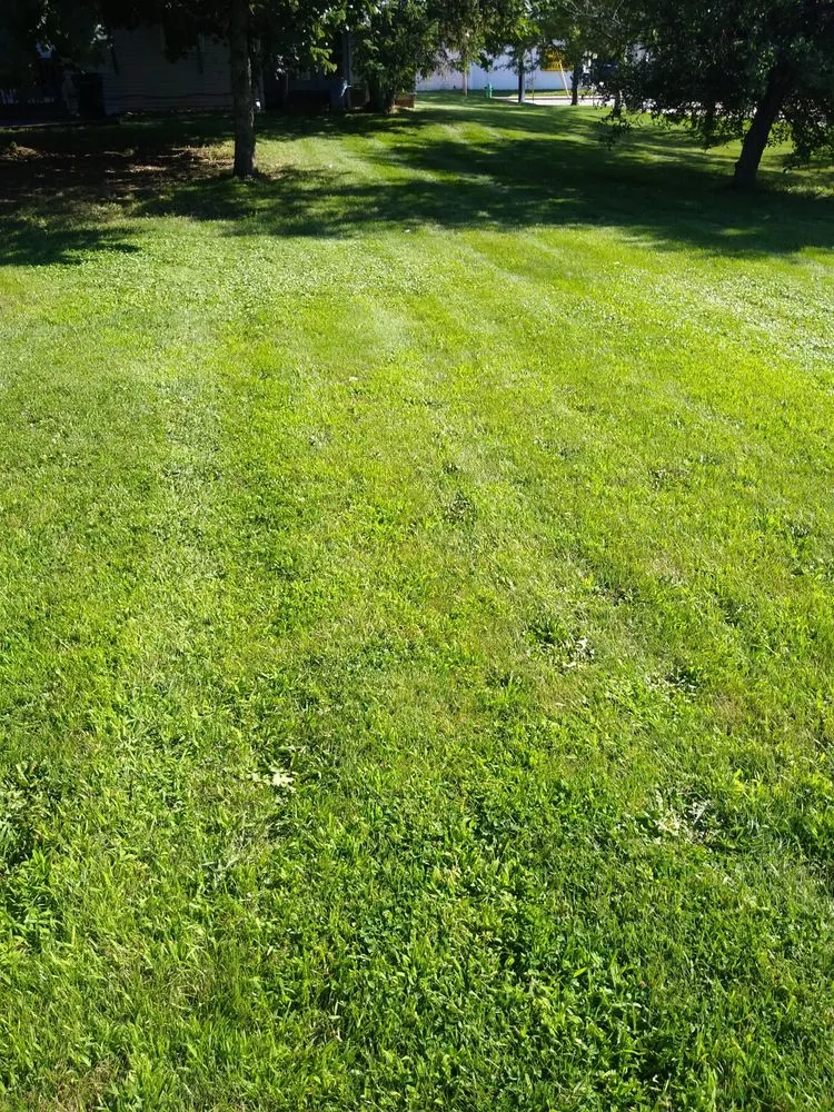 Reliable yard cleanup service in Oshkosh, WI by 2 bud's N a bucket