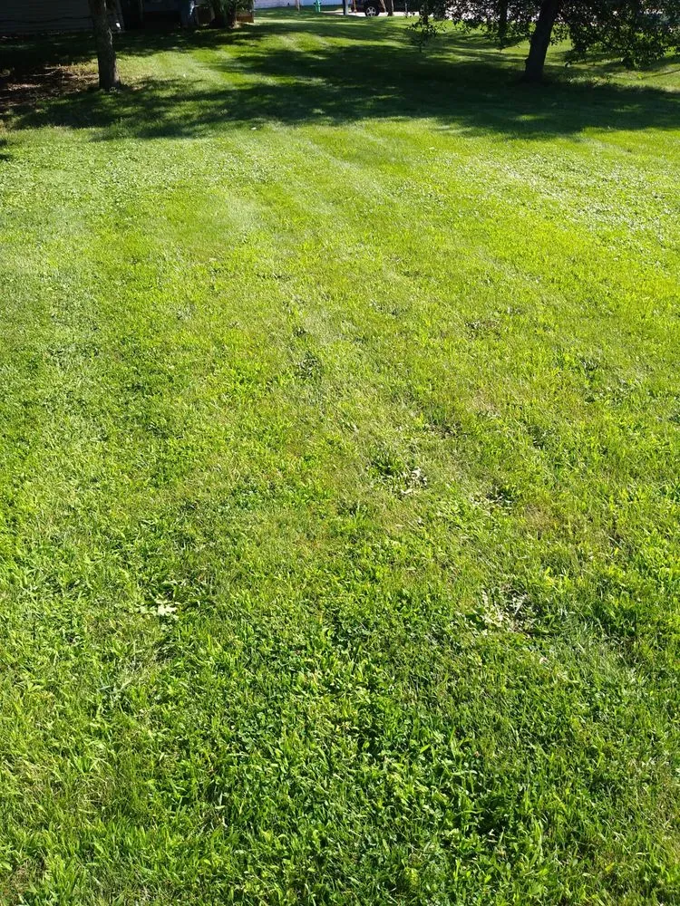 Reliable landscaping services in Oshkosh, WI - 2 bud's N a bucket