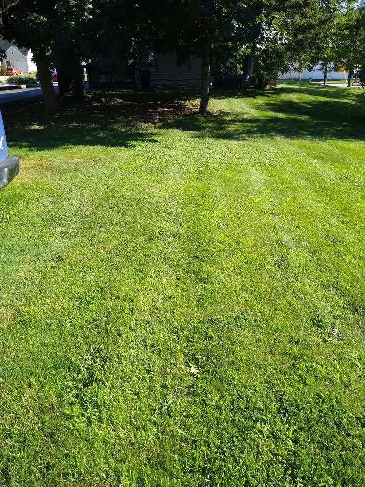 Top-rated landscape installation for residential properties across Oshkosh, WI - 2 bud's N a bucket