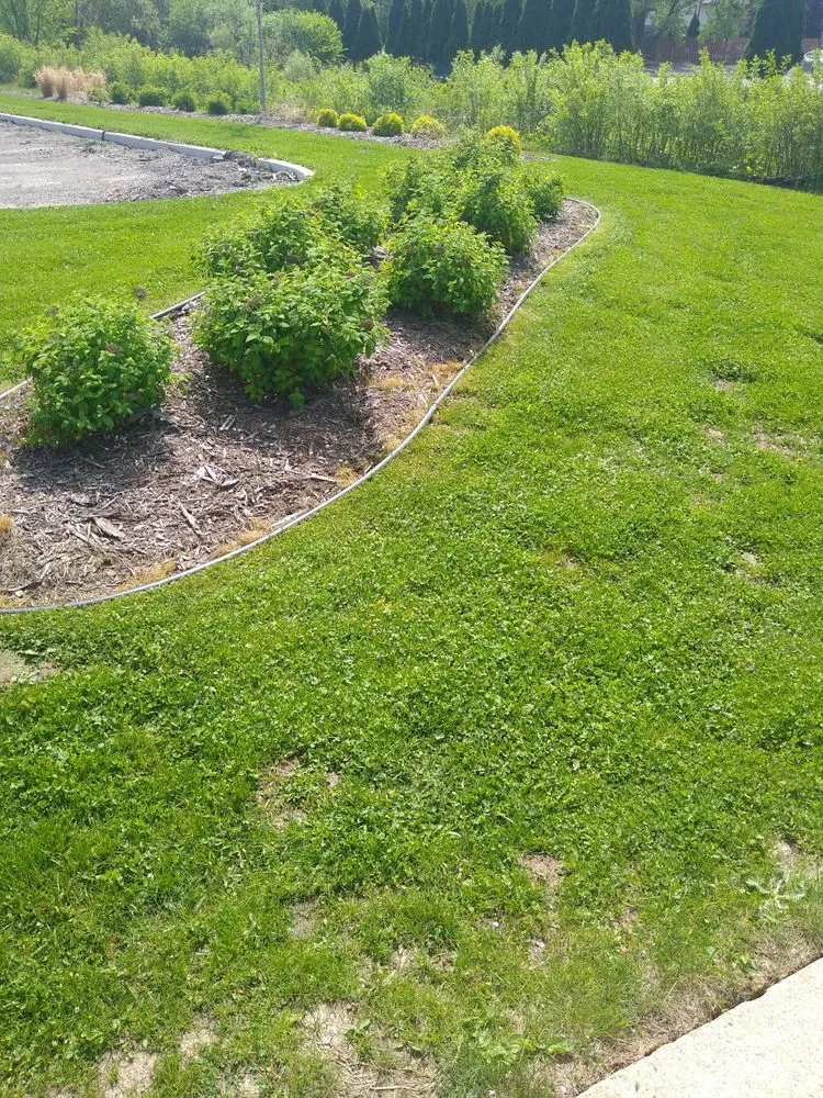 Professional garden landscaping for outdoor upgrades across Oshkosh, WI - 2 bud's N a bucket