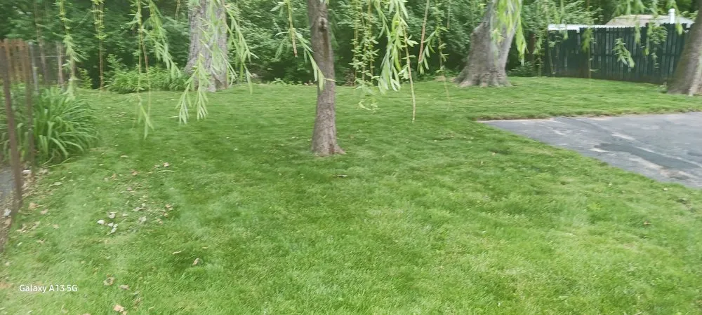 Expert yard maintenance in Saint Louis, MO - 2 Can Do Lawncare