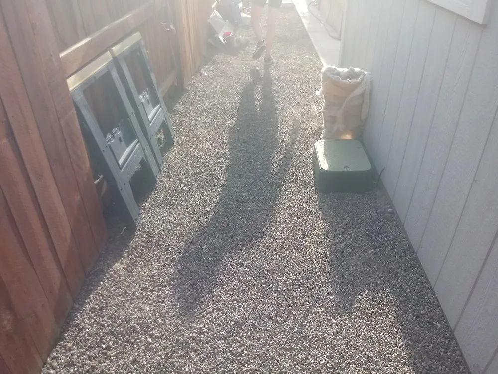 Reliable lawn care service for beautiful yards in Fallon, NV by 2 Chicks And A Rake