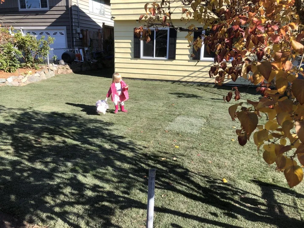 Reliable landscape installation in Edmonds, WA by 2 Chick’s Mower & Blower Landscaping