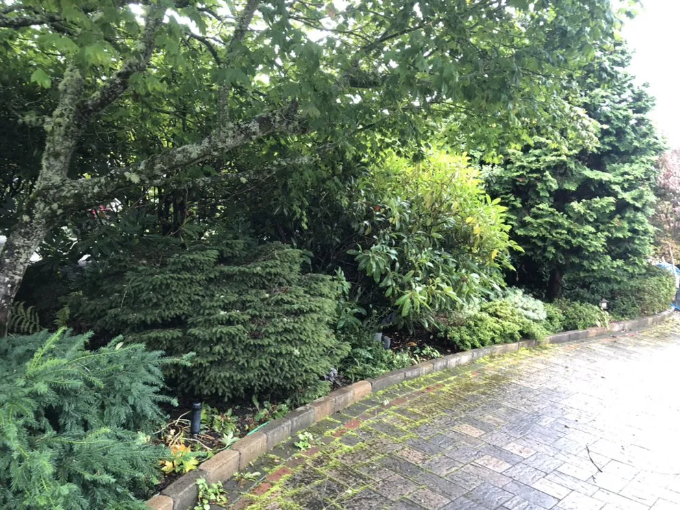 Professional residential landscaping for residential properties across Edmonds, WA - 2 Chick’s Mower & Blower Landscaping