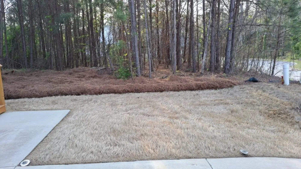 Reliable landscape installation experts serving Atlanta, GA - 2 City Lawn Care