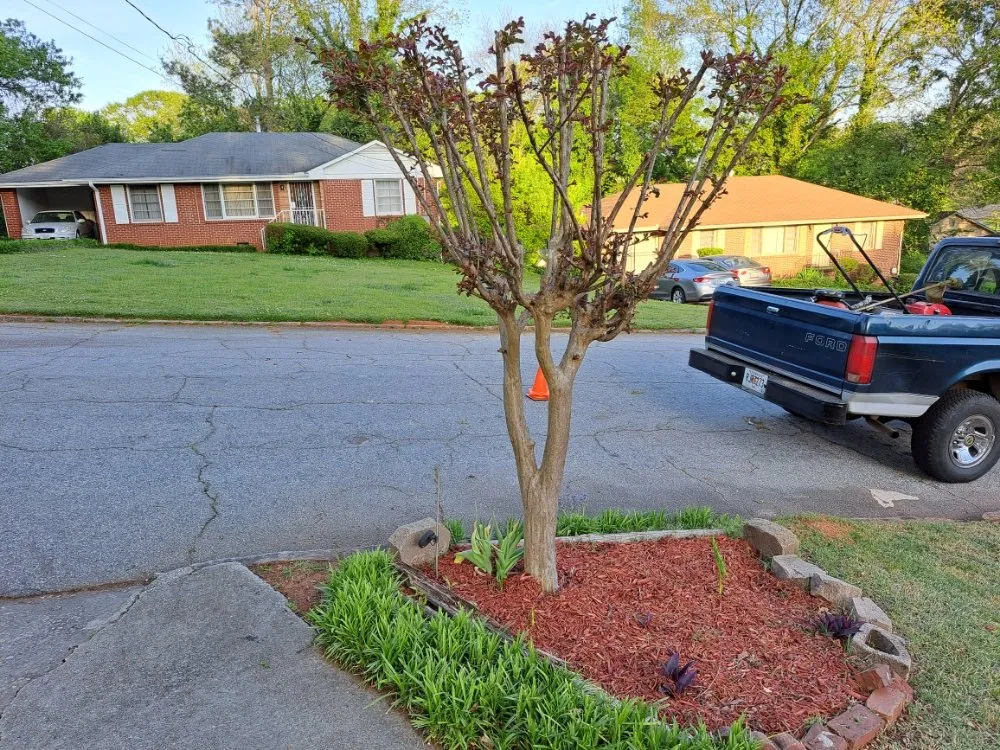 Top-rated outdoor landscaping in Atlanta, GA - 2 City Lawn Care