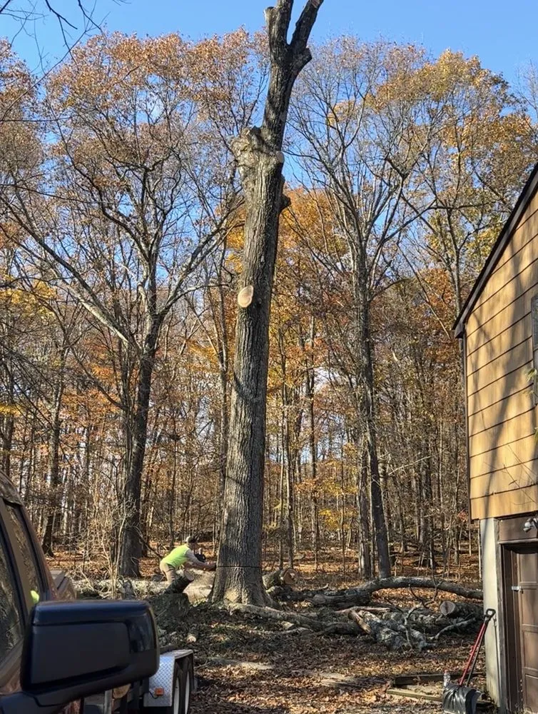 Affordable lawn care service in Wurtsboro, NY by 2 Daughters Enterprises