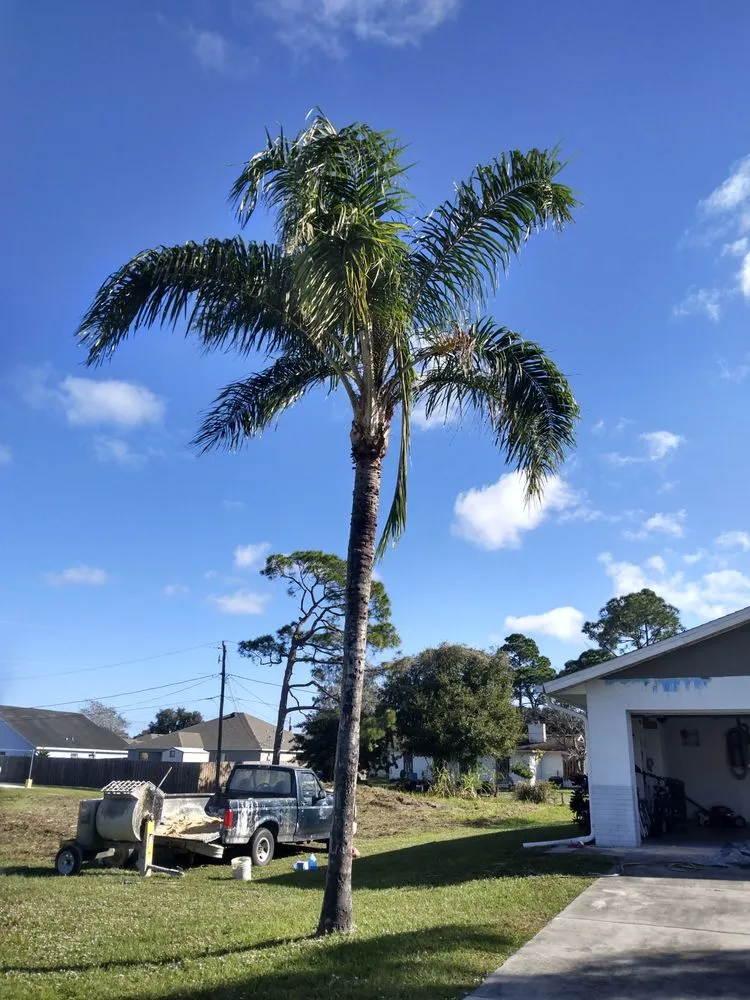 Trusted yard cleanup service in Palm Bay, FL by 2 Dimensions Complete Lawn and Tree Maintenance