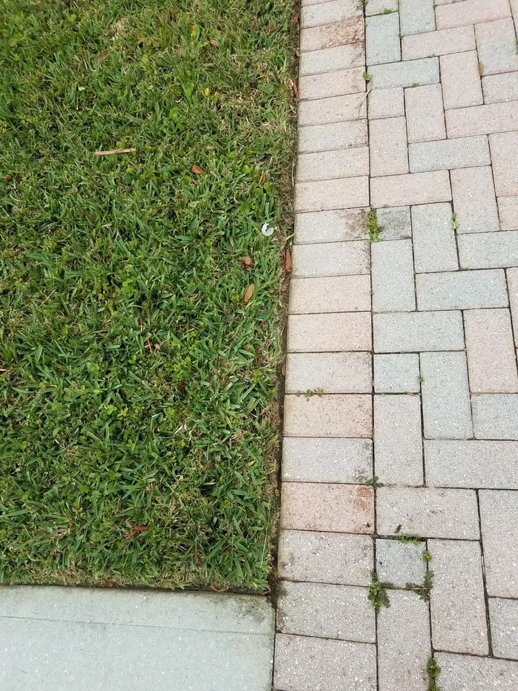 Affordable lawn mowing service in Palm Bay, FL by 2 Dimensions Complete Lawn and Tree Maintenance