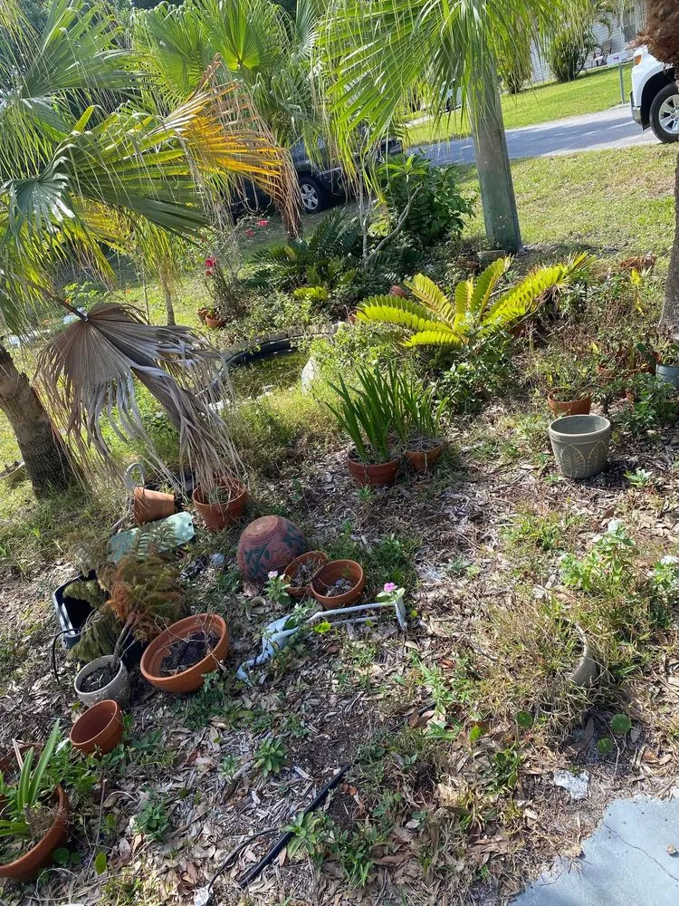 Professional lawn mowing service in Palm Bay, FL by 2 Dimensions Complete Lawn and Tree Maintenance