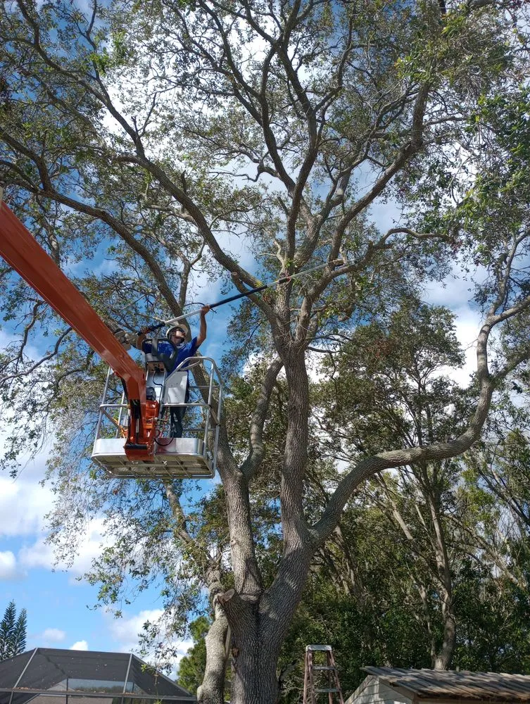 Trusted outdoor landscaping for outdoor upgrades in Palm Bay, FL by 2 Dimensions Complete Lawn and Tree Maintenance