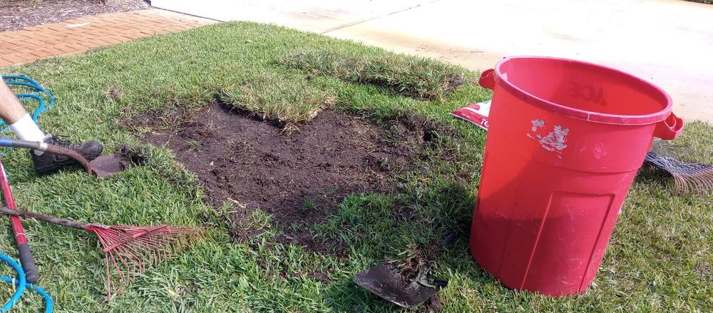 Expert lawn care service for outdoor upgrades across Palm Bay, FL - 2 Dimensions Complete Lawn and Tree Maintenance