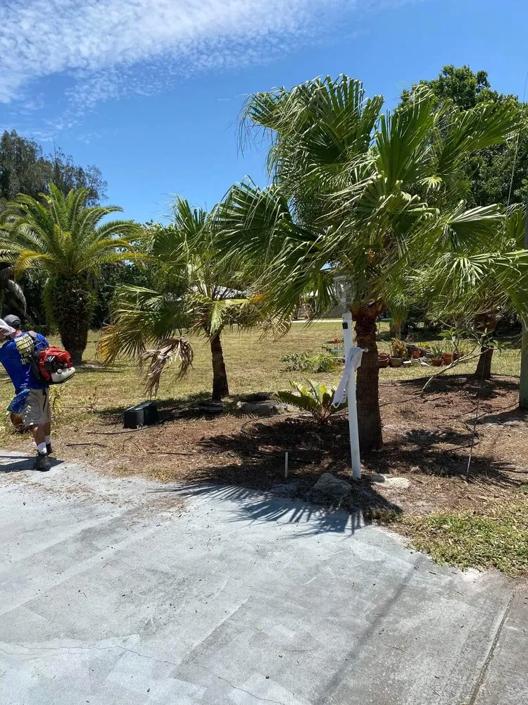 Top-rated residential landscaping for year-round maintenance in Palm Bay, FL by 2 Dimensions Complete Lawn and Tree Maintenance