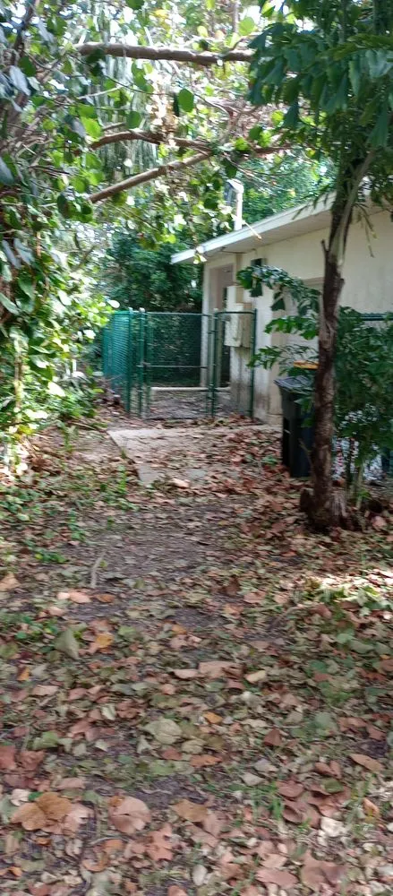 Expert yard cleanup service near you in Palm Bay, FL by 2 Dimensions Complete Lawn and Tree Maintenance