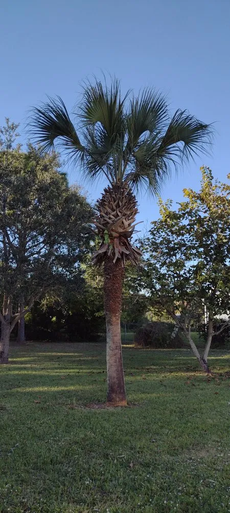 Top-rated landscape installation in Palm Bay, FL - 2 Dimensions Complete Lawn and Tree Maintenance