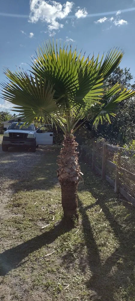 Reliable garden landscaping in Palm Bay, FL - 2 Dimensions Complete Lawn and Tree Maintenance