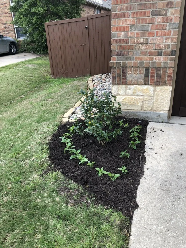 Professional yard maintenance for beautiful yards across Fort Worth, TX - 2 Fat Guys Lawn Service