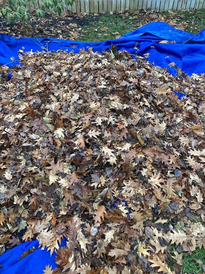 Affordable residential landscaping for homes across Kalamazoo, MI - 2 Fellaz 2 Trucks & Bros