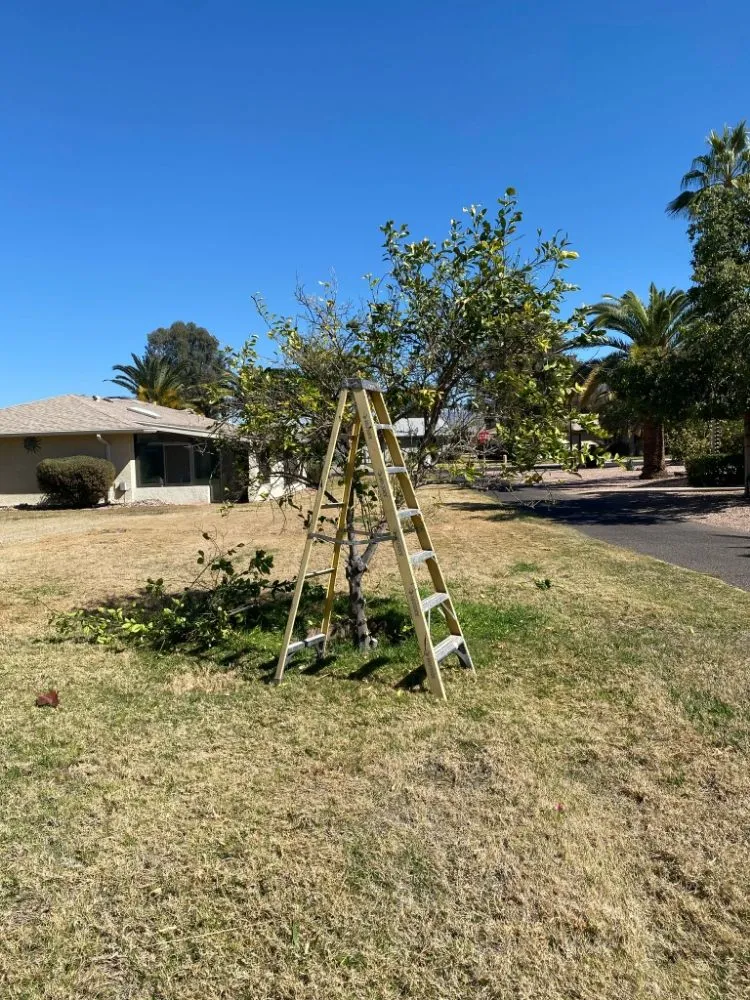 Local garden landscaping near you in Mesa, AZ by 2 Friends Landscaping
