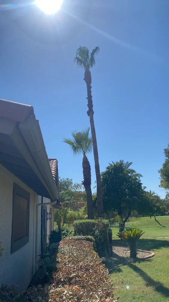 Expert lawn mowing service for residential properties in Mesa, AZ by 2 Friends Landscaping