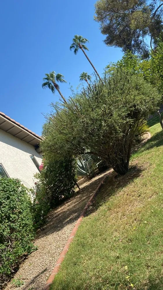 Top-rated yard cleanup service for homes in Mesa, AZ by 2 Friends Landscaping