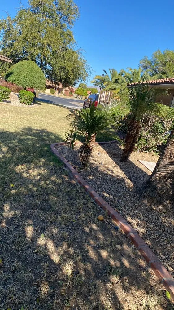 Affordable lawn mowing service in Mesa, AZ by 2 Friends Landscaping