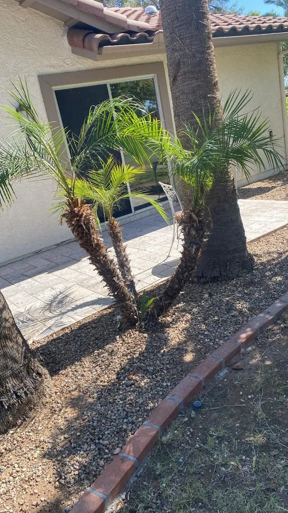 Top-rated yard maintenance for outdoor upgrades in Mesa, AZ by 2 Friends Landscaping