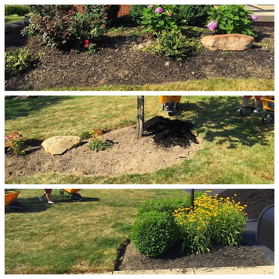 Custom lawn care service for beautiful yards in Sewickley, PA by 2 Gingers & a Shovel