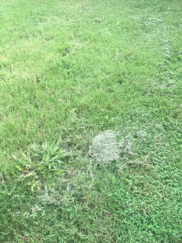 Affordable garden landscaping with custom design in Snellville, GA by 2 Good Fellas Lawncare