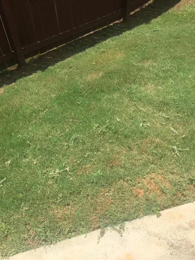 Professional landscape installation for homes across Snellville, GA - 2 Good Fellas Lawncare