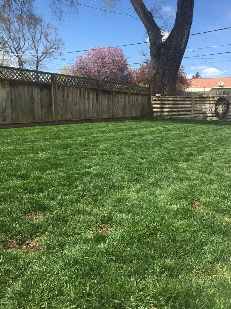 Custom lawn care service for outdoor upgrades in West Valley City, UT by 2 Green Diamonds