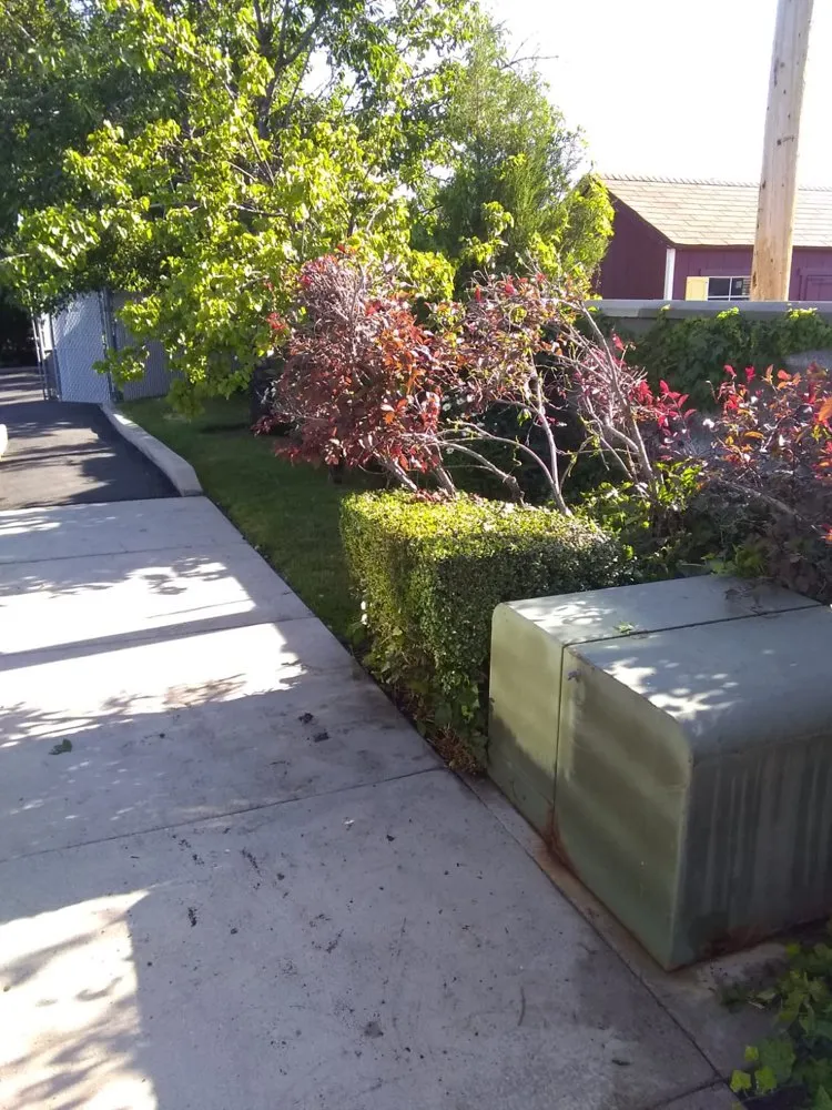 Affordable outdoor landscaping in West Valley City, UT - 2 Green Diamonds