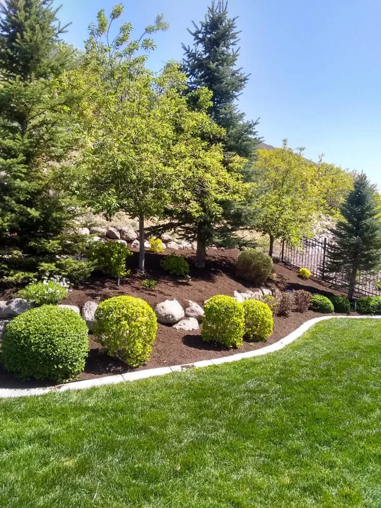 Professional yard cleanup service in West Valley City, UT by 2 Green Diamonds