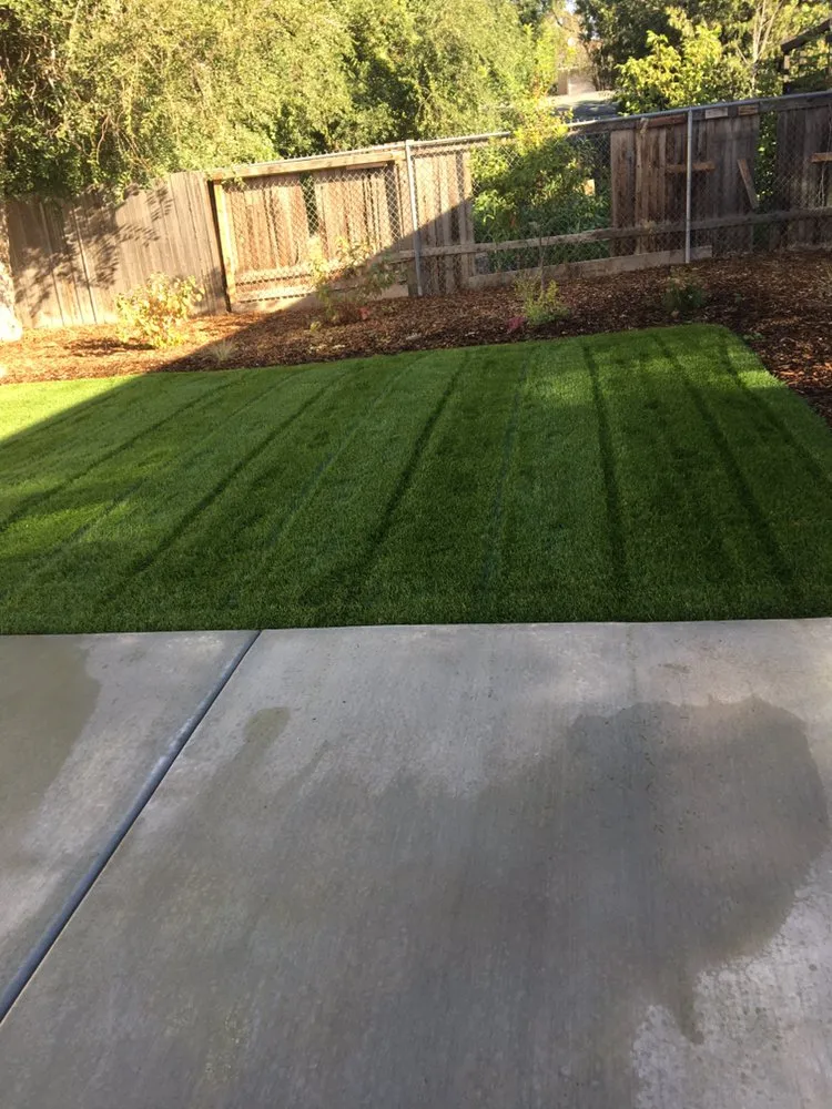 Professional yard cleanup service experts serving West Valley City, UT - 2 Green Diamonds