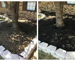 Professional residential landscaping in Boca Raton, FL by 2 Green Guys Lawn Painting Service