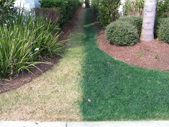 Custom landscape installation in Boca Raton, FL - 2 Green Guys Lawn Painting Service