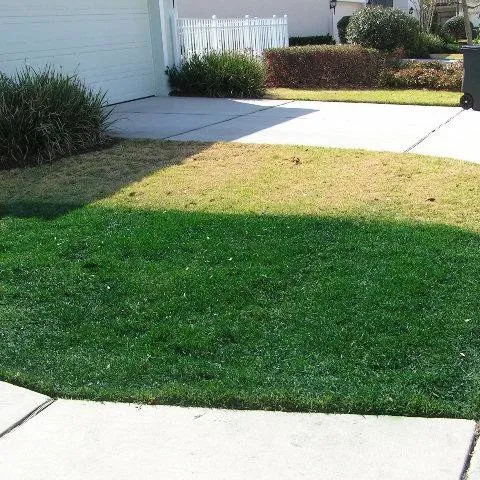 Expert outdoor landscaping for beautiful yards in Boca Raton, FL by 2 Green Guys Lawn Painting Service