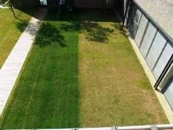 Professional yard cleanup service in Boca Raton, FL - 2 Green Guys Lawn Painting Service