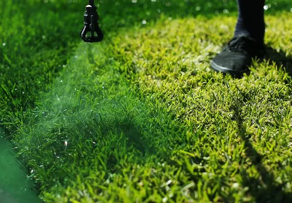 2 Green Guys Lawn Painting Service Logo