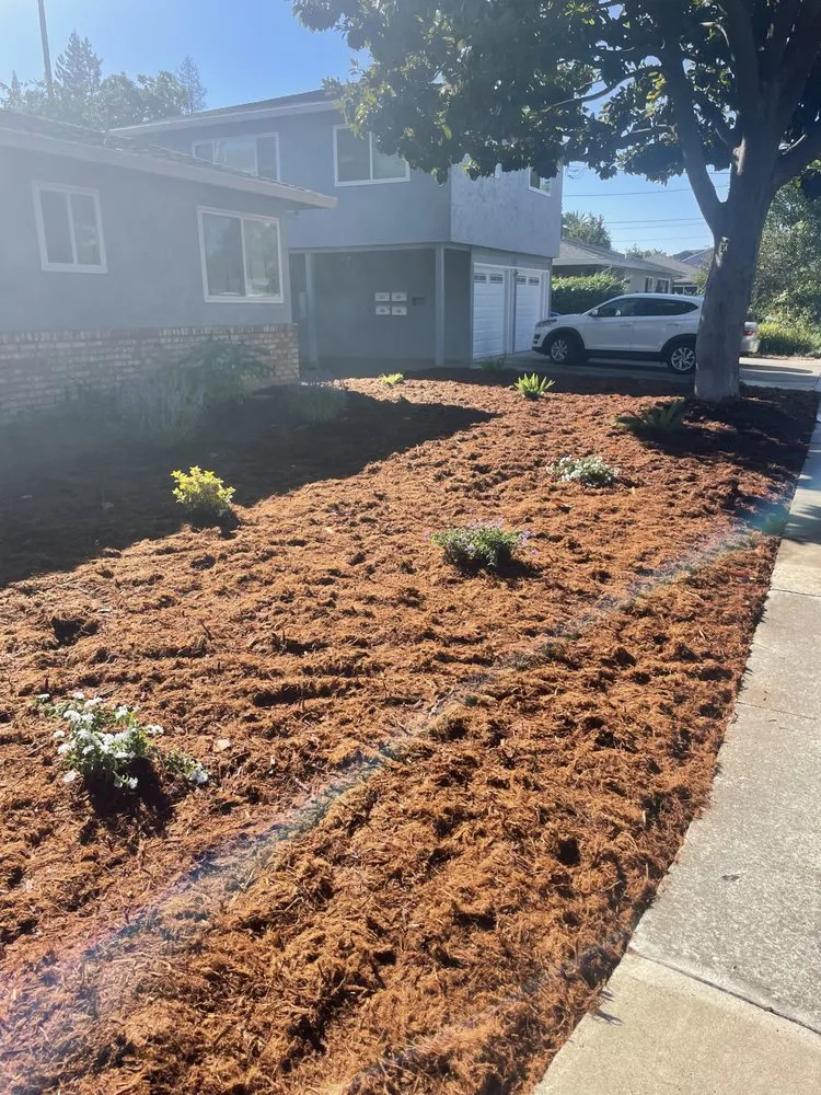 Expert yard cleanup service experts serving Sunnyvale, CA - 2 Green Landscaping & Maintenance