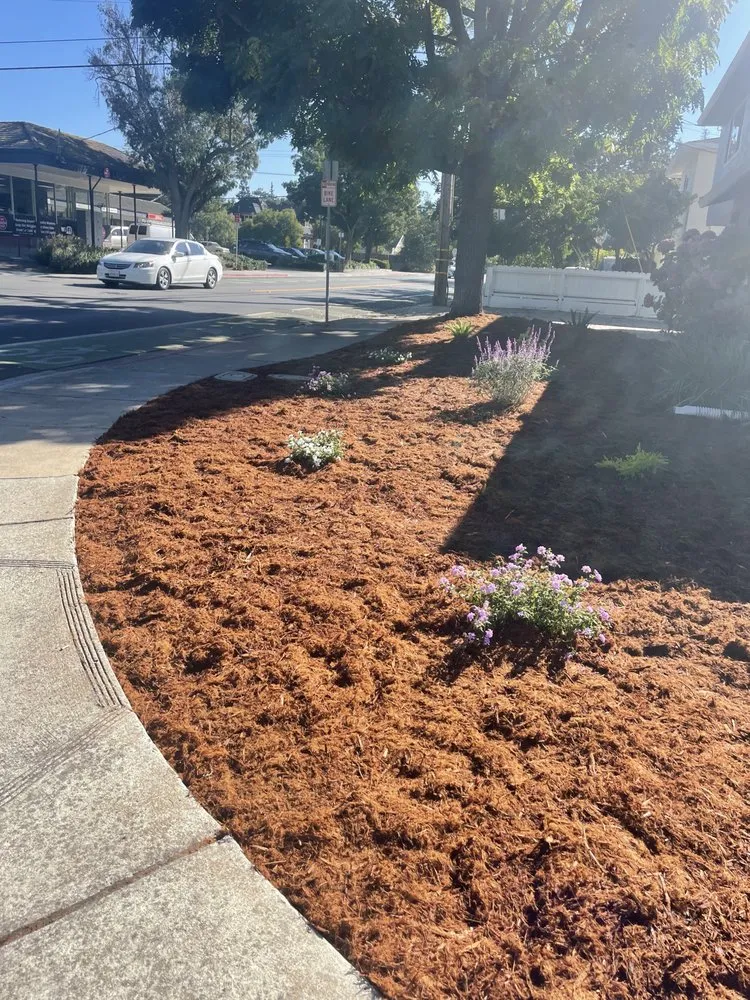 Top-rated residential landscaping in Sunnyvale, CA by 2 Green Landscaping & Maintenance