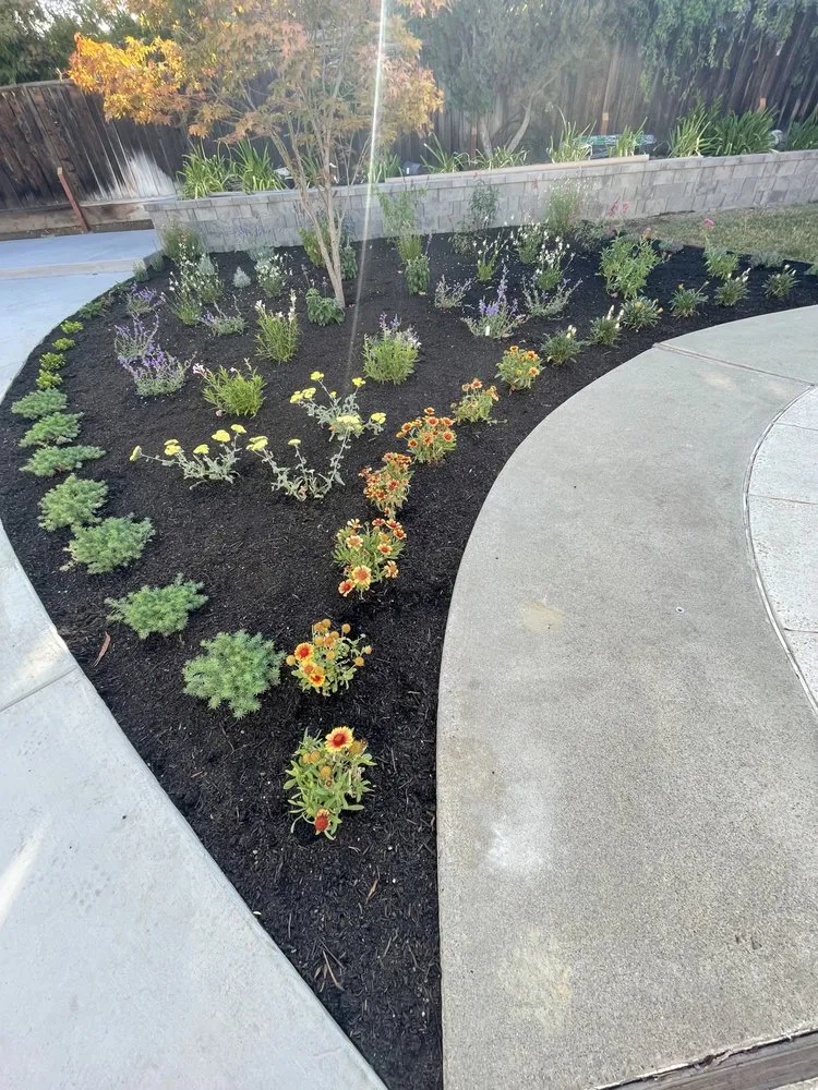 Custom yard cleanup service for outdoor upgrades across Sunnyvale, CA - 2 Green Landscaping & Maintenance