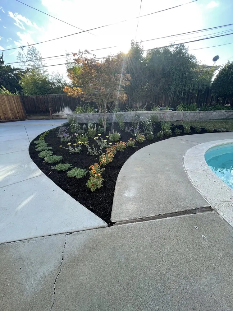 Professional landscape installation in Sunnyvale, CA - 2 Green Landscaping & Maintenance